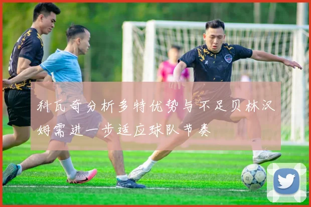 科瓦奇分析多特优势与不足贝林汉姆需进一步适应球队节奏